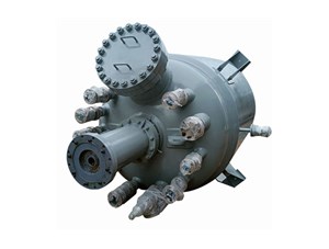 加氫反應釜的應用和規格